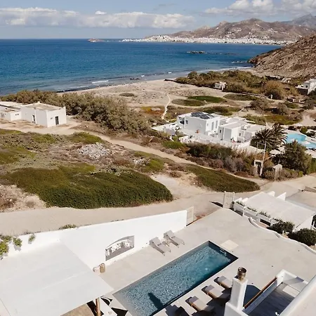 Anamnesia, Stelida Naxos